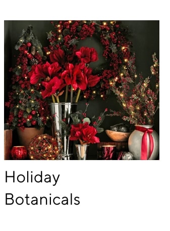 Holiday Botanicals